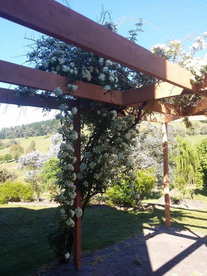 Bed and Breakfast Rosewhite House Myrtleford Esterno foto